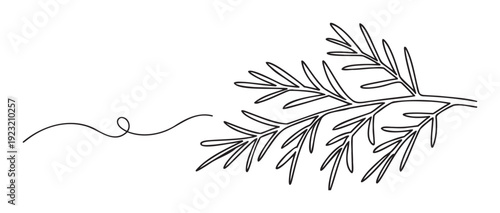 Minimalist continuous line drawing of a delicate plant branch with slender leaves, perfect for botanical branding, modern kitchen decor, or fresh food packaging designs