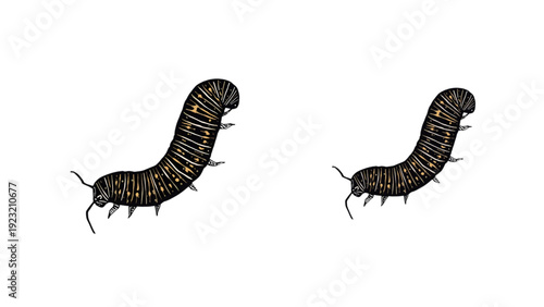 caterpillar on white background