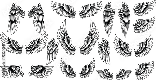 Collection of stylized wings illustrations, detailed feather vector art for fantasy, tattoo, angelic, bird design, creative graphic content