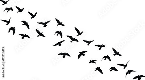 Black silhouettes of flock of birds flying diagonally in formation, coordinated group movement concept illustration design