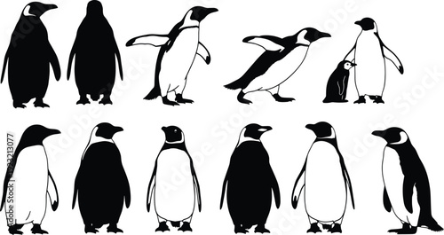 Collection of twelve penguin illustrations in varied poses, silhouettes and detailed designs, vector artwork for wildlife, nature, education themes