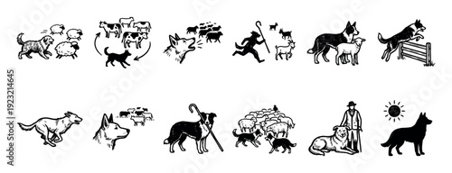 Collection of hand-drawn herding dog illustrations showing sheepdogs working with livestock like sheep and cows in a graphic linocut style, isolated on a white background