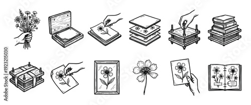 Set of hand-drawn flower pressing illustrations showing the process from bouquet to herbarium, including a wooden press, books, and framed art in a vintage sketch style isolated on white