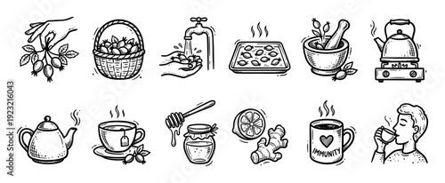 Hand drawn icon set showing the process of making immunity boosting rosehip tea. This black and white doodle collection illustrates brewing a healthy herbal beverage with natural ingredients
