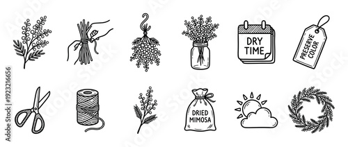 Set of hand-drawn mimosa flower drying icons showing the process of preserving plants, with a wreath, scissors, twine, and a calendar in a black and white doodle style