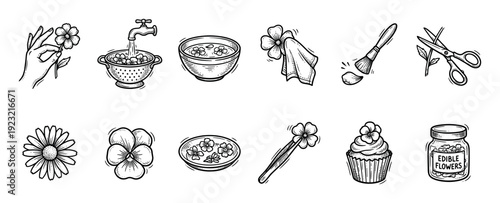Edible flowers preparation and cooking icon set hand drawn in a black and white vintage sketch style, illustrating washing, decorating, and storing for culinary use