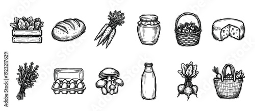 Hand drawn farm food icons set in a vintage sketch style with bread, milk, cheese, vegetables, and berries isolated on a white background, representing organic grocery products