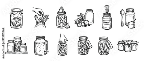 Hand drawn black and white illustration set of fermented foods and the pickling process with jars, vegetables, kimchi, and pickles in a vintage sketch style isolated on white