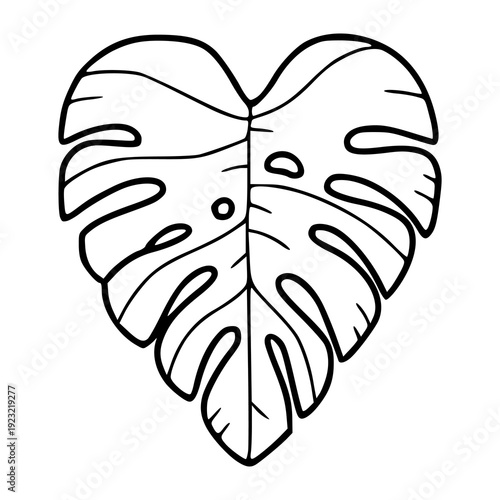 tropical swiss cheese plant leaf sketch for botanical design