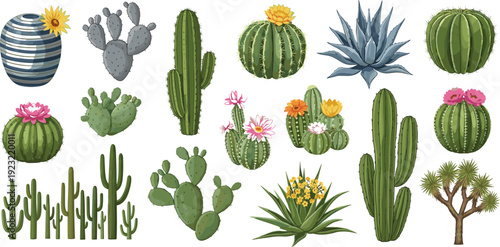 Colorful cactus and succulent vector illustration with blooming desert plants, agave, prickly pear, barrel cactus, Joshua tree, ceramic pot