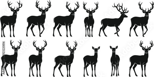 Diverse Set of Deer and Stag Silhouettes, Collection of Wild Buck and Doe Figures with Large Antlers in Various Poses Isolated on White Background for Wildlife Vector Art