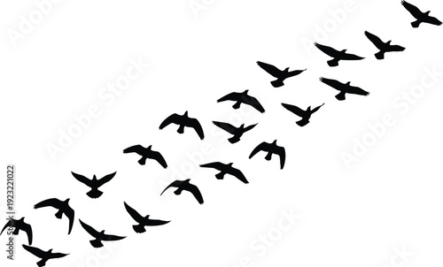 Large Flock of Migrating Birds Flying in Formation, Pigeon and Dove Silhouettes in Diagonal Flight Path Isolated on White Background for Nature Concept Vector Art