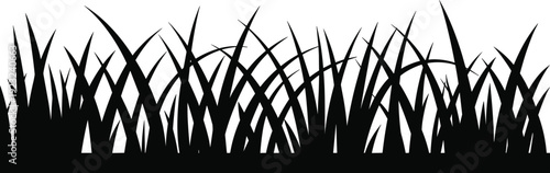 Grass silhouette border vector, black meadow plants and wild blades isolated on white background, natural lawn design element for landscape illustration