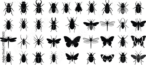 Insect silhouettes illustration, entomology vector artwork, diverse bug design graphics, butterfly beetle icons, dragonfly moth symbol collection