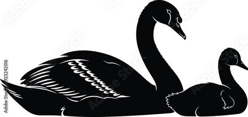 Swan silhouette vector illustration, elegant bird drawings, black and white line art, graceful animal design, aquatic wildlife emblem