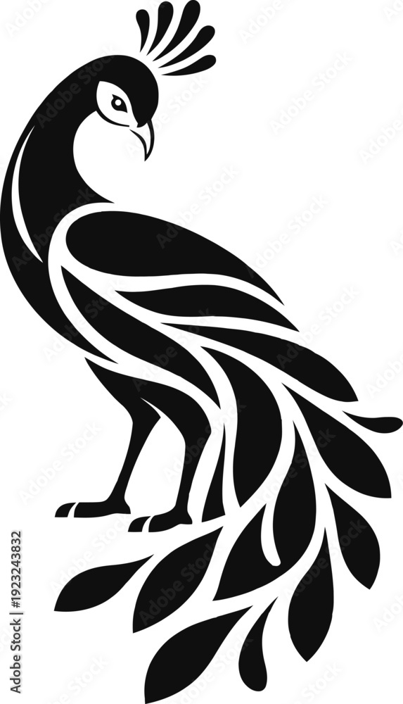 Fototapeta premium peacock, premium peacock, peacock logo, elegant bird, luxury logo, fashion branding, beauty logo, wedding logo, boutique branding, decorative bird, detailed feathers, black silhouette, vector illustra