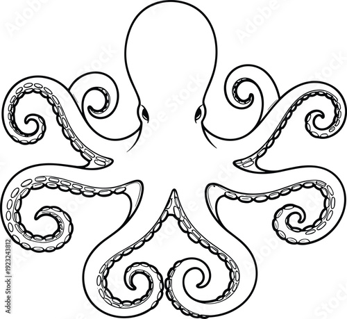 Symmetrical octopus vector illustration, decorative line art with curled spiral arms and suction cup details for design motifs