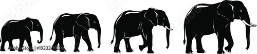 Elephant silhouettes in growth stages, calf to adult progression, wildlife development concept, animal life cycle vector illustration, nature design artwork