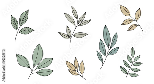 Hand-drawn botanical illustration of delicate leaves and branches in muted earth tones