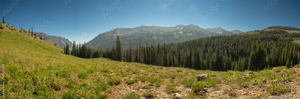 Fototapeta premium Panorama Of The Meadow At Moose Basin And Surrounding Mountains