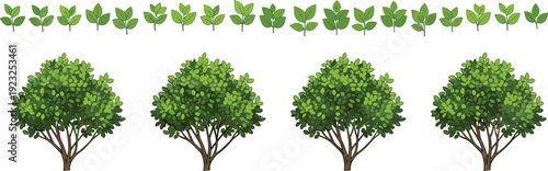 Leaf tree pattern vector illustration, nature design, green foliage graphic, educational concept, counting leaves, categorization, minimal style, bold arrangement