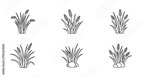 Seagrass vector icon set aquatic plant outlines