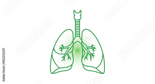Human lungs with green highlighted area medical illustration anatomy drawing health concept respiratory system