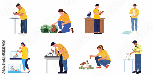 Comprehensive rabbit care: veterinary check-ups, vaccinations, grooming, feeding, and fun training activities with pet owners.