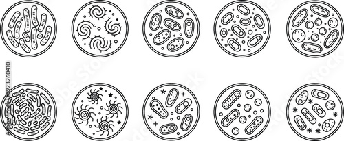 Microbiology petri dish icons set with various bacteria virus and cell cultures in black line art for science laboratory research