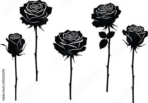 Black rose stems vector illustration, elegant floral design, romantic flower silhouettes, botanical artwork for tattoo, nature decoration, garden bloom clipart, minimal style