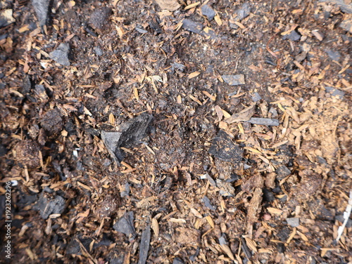 Schilderij op canvas High quality organic compost soil with charred rice husks for gardening