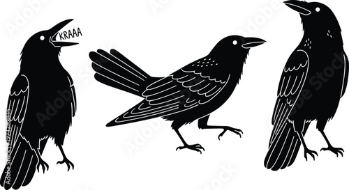 Black silhouette illustration of three crows in varied poses, vocalizing, standing, walking, vector design for wildlife, nature, bird art themes