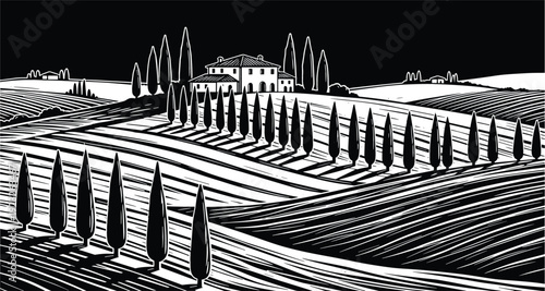Italian Tuscany landscape vector illustration with cypress trees and rural farm house in vintage woodcut black and white style