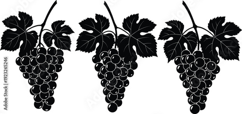 Black silhouette grape bunch vector illustration, detailed vineyard fruit design with leaves and stems, elegant wine, agriculture, and nature theme art