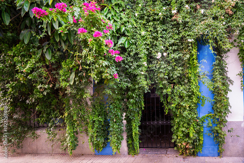 a doorway of metal gate, extensively covered by vibrant green vines and bright pink flowers, possibly ivy and bougainvillea