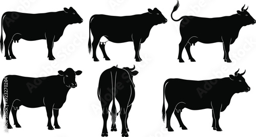 Black vector silhouette set of diverse beef and dairy cattle including cows and bulls standing in various poses for agricultural and livestock industry branding