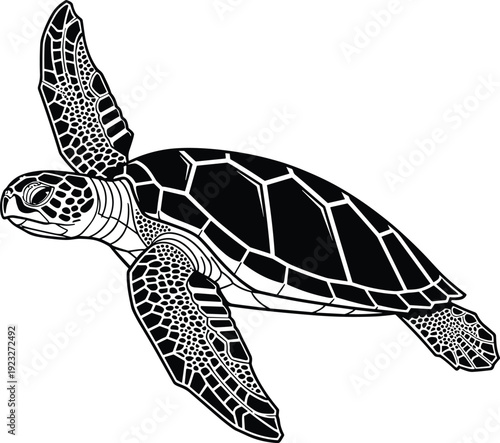 Sea turtle vector illustration, swimming pose design, geometric shell pattern, flippers scale detail graphic, black white bold marine art