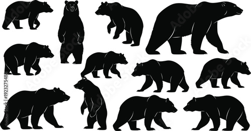 Twelve bear silhouettes in various poses and sizes, minimalist vector illustration for wildlife design, animal anatomy, nature graphic art
