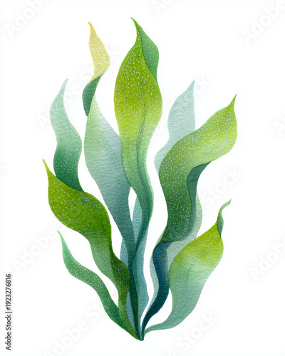 Wallpaper Mural Watercolor Sea Animals and seaweed Set – Underwater Clipart Collection Torontodigital.ca