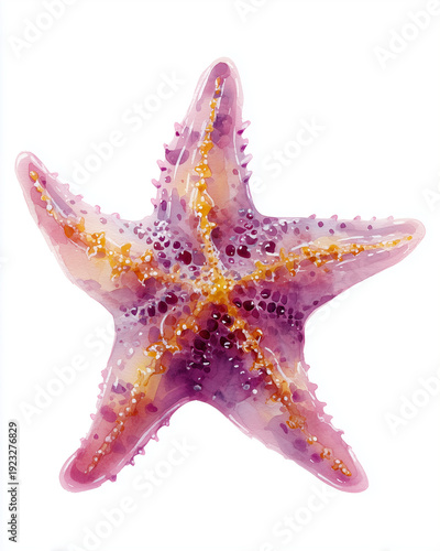 Wallpaper Mural Watercolor Sea Animals and seaweed Set – Underwater Clipart Collection Torontodigital.ca