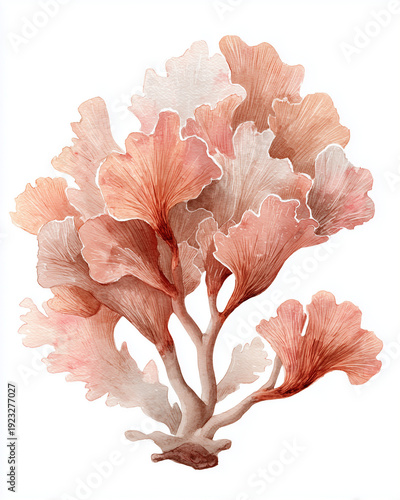 Wallpaper Mural Watercolor Sea Animals and seaweed Set – Underwater Clipart Collection Torontodigital.ca