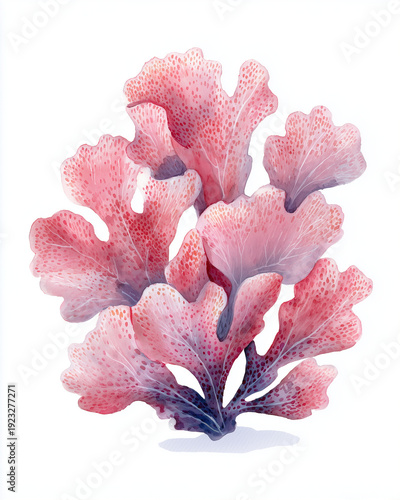 Wallpaper Mural Watercolor Sea Animals and seaweed Set – Underwater Clipart Collection Torontodigital.ca