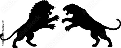Silhouettes of two roaring lions facing each other in a dynamic display of power and aggression, capturing a moment of intense confrontation
