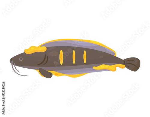 Illustration of catfish seasoned with marinade. Marinated catfish. Covered in yellow liquid. Animals, fish, and food. Flat design. White background.