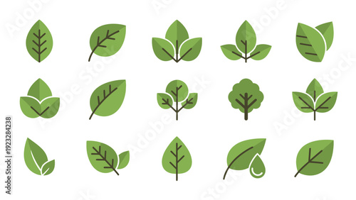 Collection of various green leaf shapes.