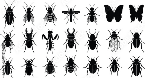 Set of various insect silhouettes featuring butterfly mantis beetle bee cockroach and fly for nature education biology study and environmental design projects