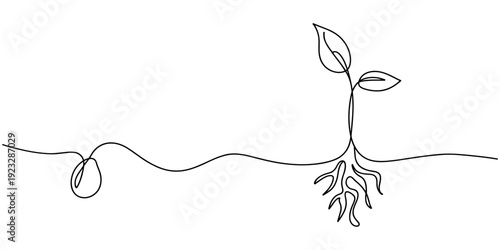 Continuous one line drawing of a young plant sprout with two leaves growing from the ground. Plant drawing with editable black stroke on white background. Vector illustration.