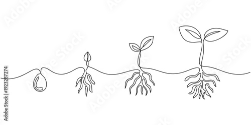Continuous one line drawing of a young plant sprout with two leaves growing from the ground. Plant drawing with editable black stroke on white background. Vector illustration.
