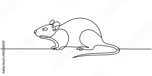 Self drawing one continuous line draw, logo, rat, mouse, One line drawing  of or rat animal, Abstract rat, continuous one line art hand drawing, minimalism simplicity one.