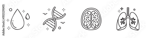 Medical and scientific line icons set featuring a water drop, DNA helix, human brain, and pair of lungs perfect for health, biology, and research related presentations or educational